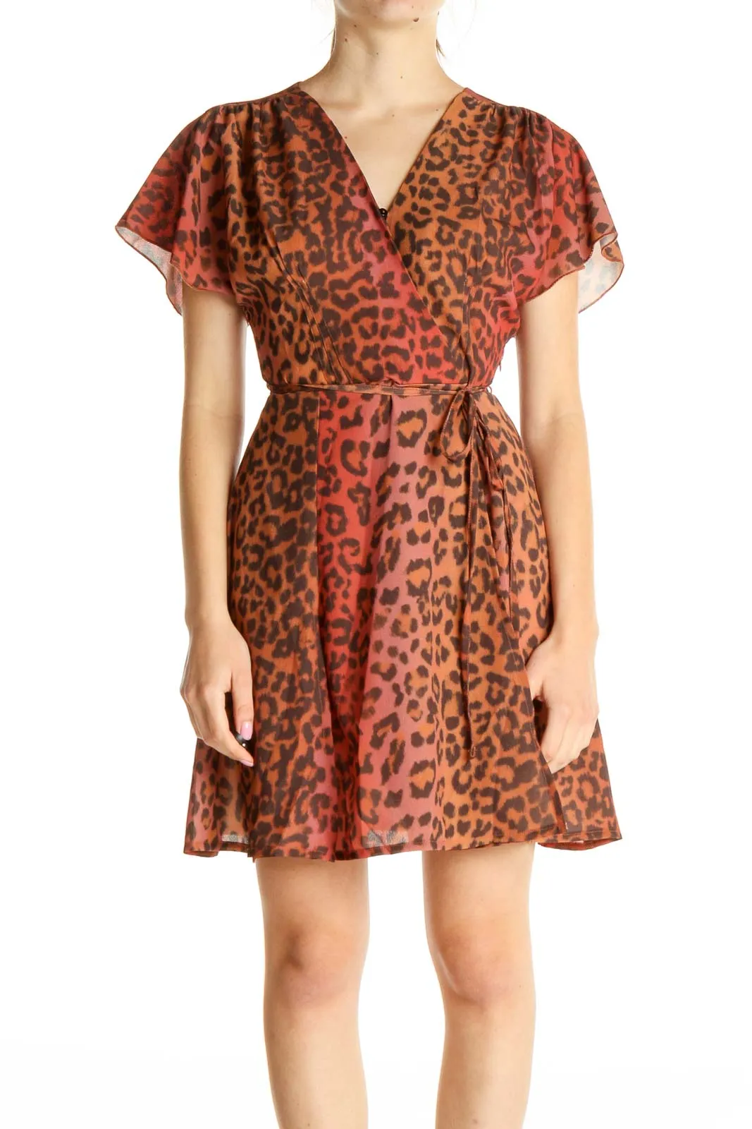 Brown Day Animal Print Fit & Flare Dress